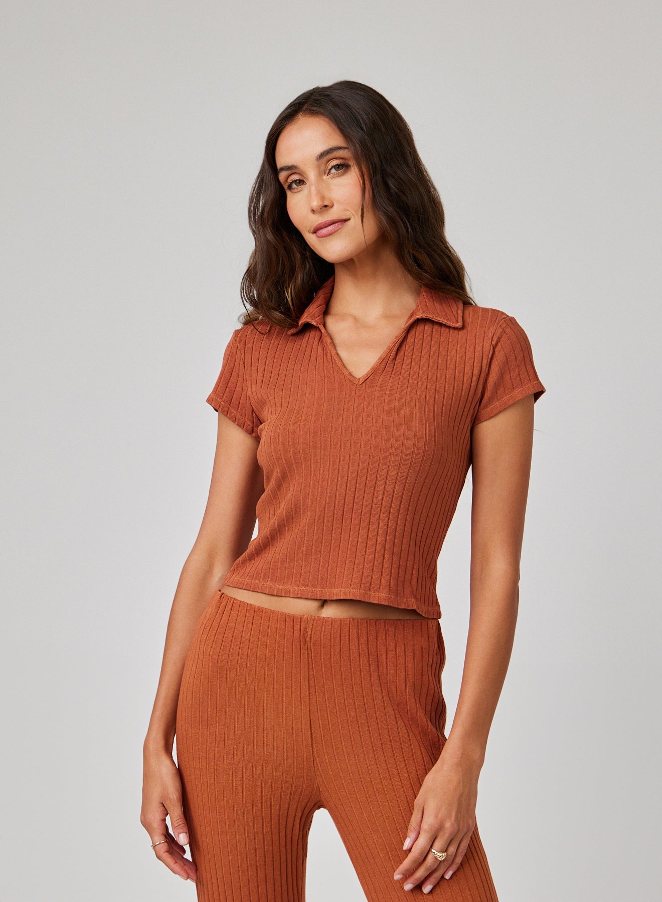 Bella DahlCollared Crop Top - Spring BrownTops